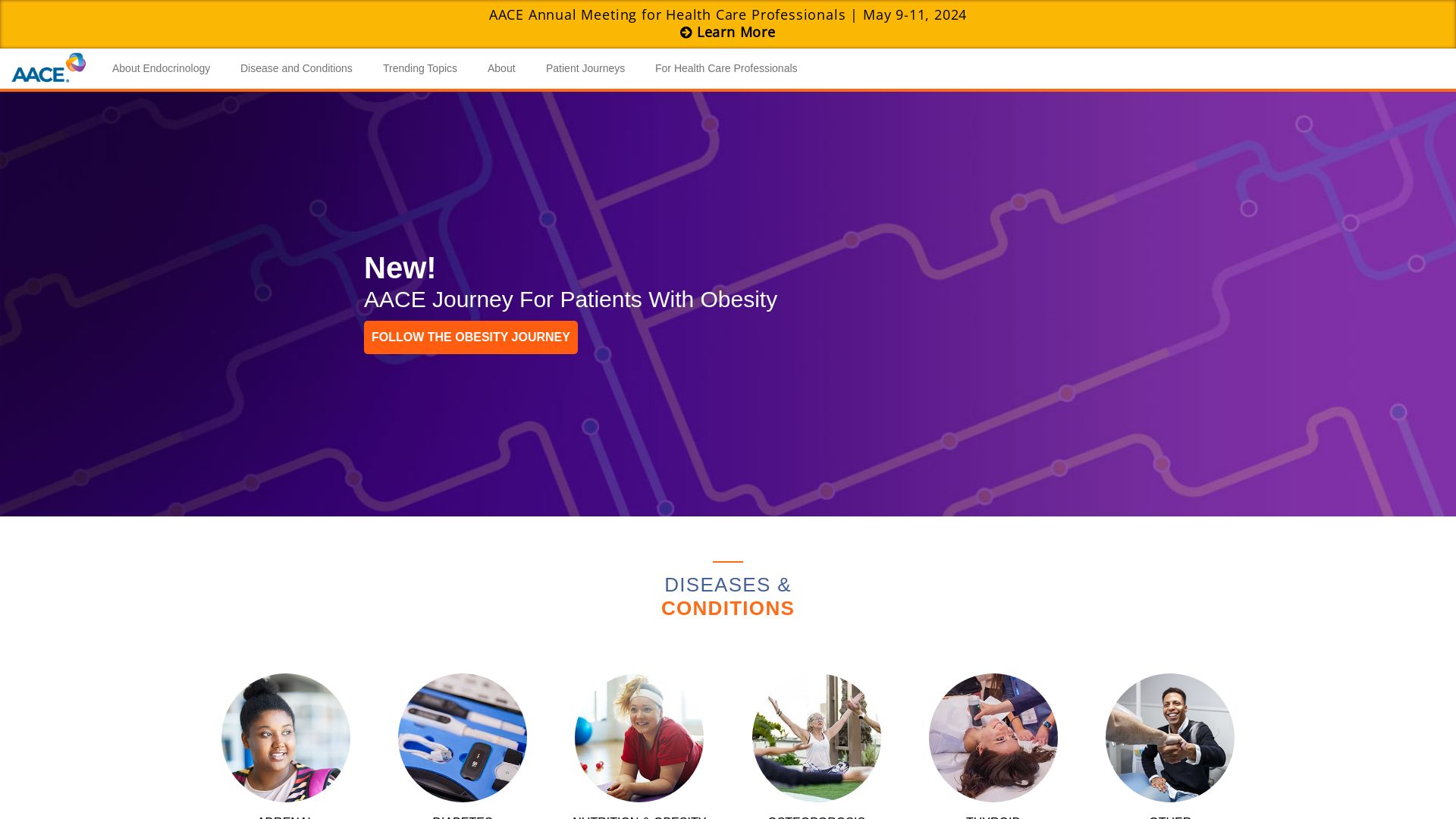 网站状态 aace.com 是  在线的