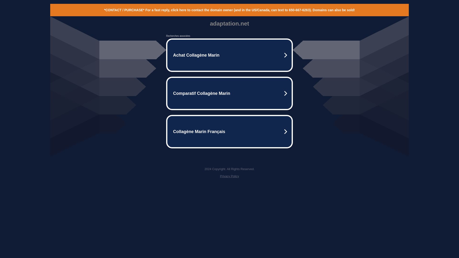 网站状态 adaptation.net 是  在线的
