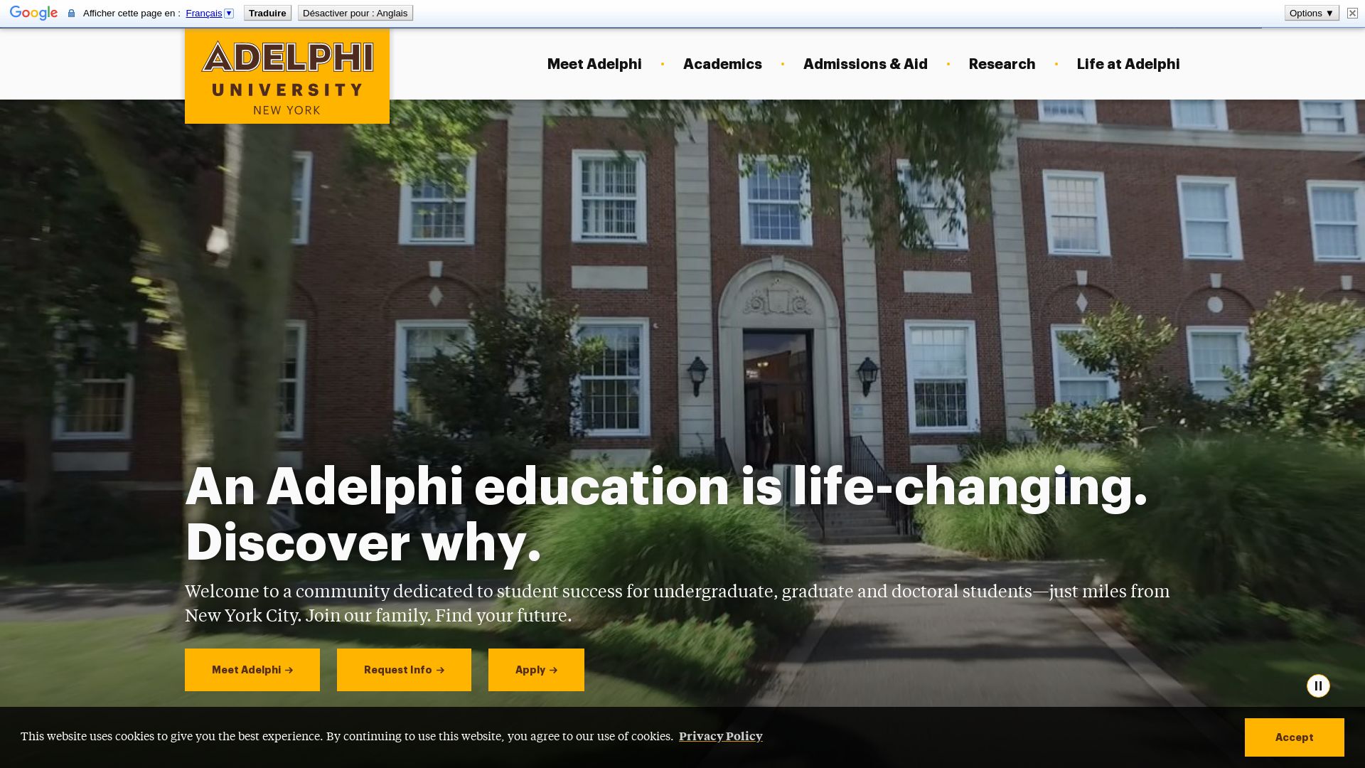 网站状态 adelphi.edu 是  在线的