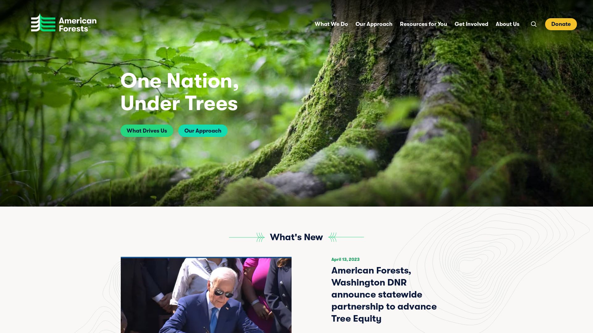 网站状态 americanforests.org 是  在线的