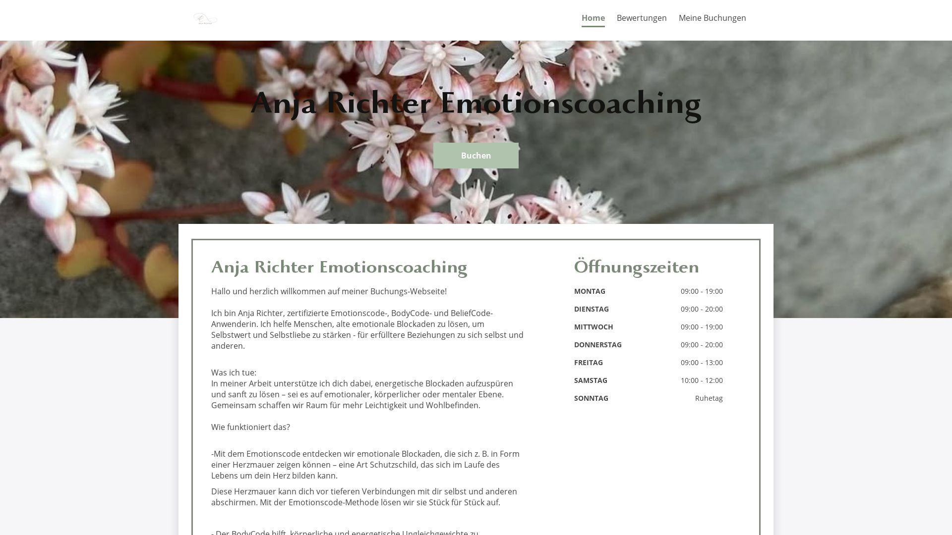 网站状态 anja-richter.de 是  在线的