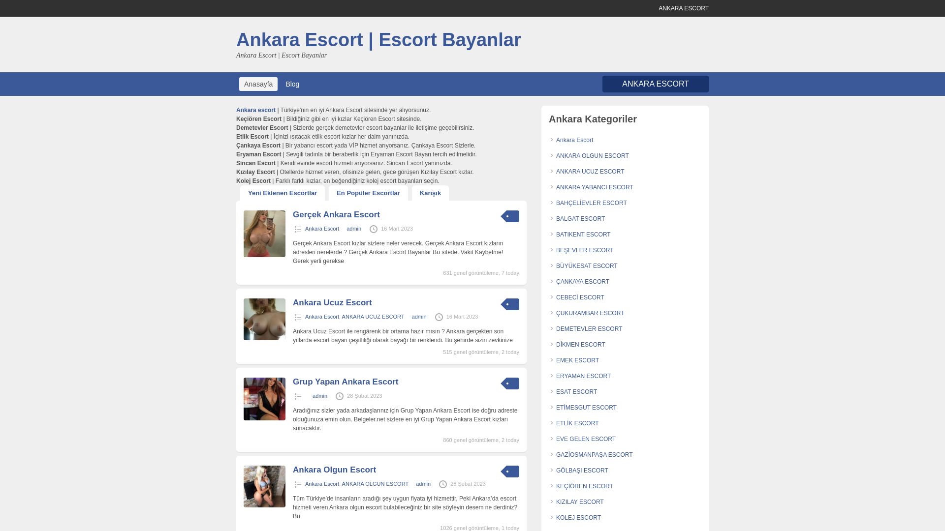 网站状态 ankarabayan.org 是  在线的