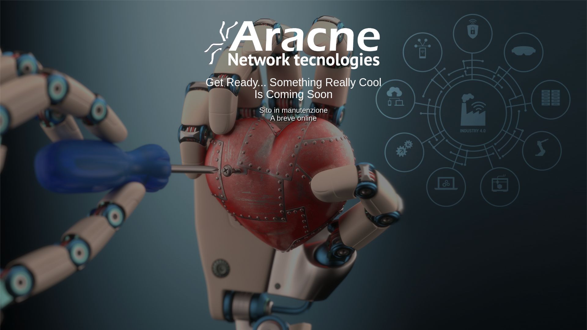 网站状态 aracne.biz 是  在线的