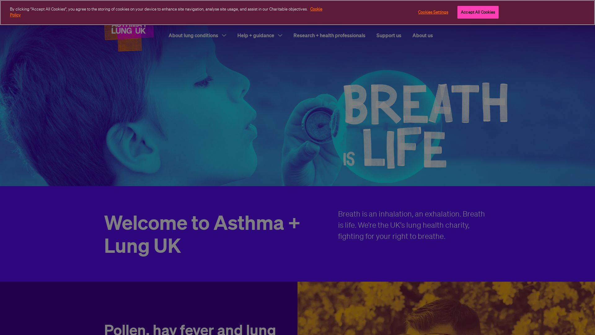 网站状态 asthma.org.uk 是  在线的