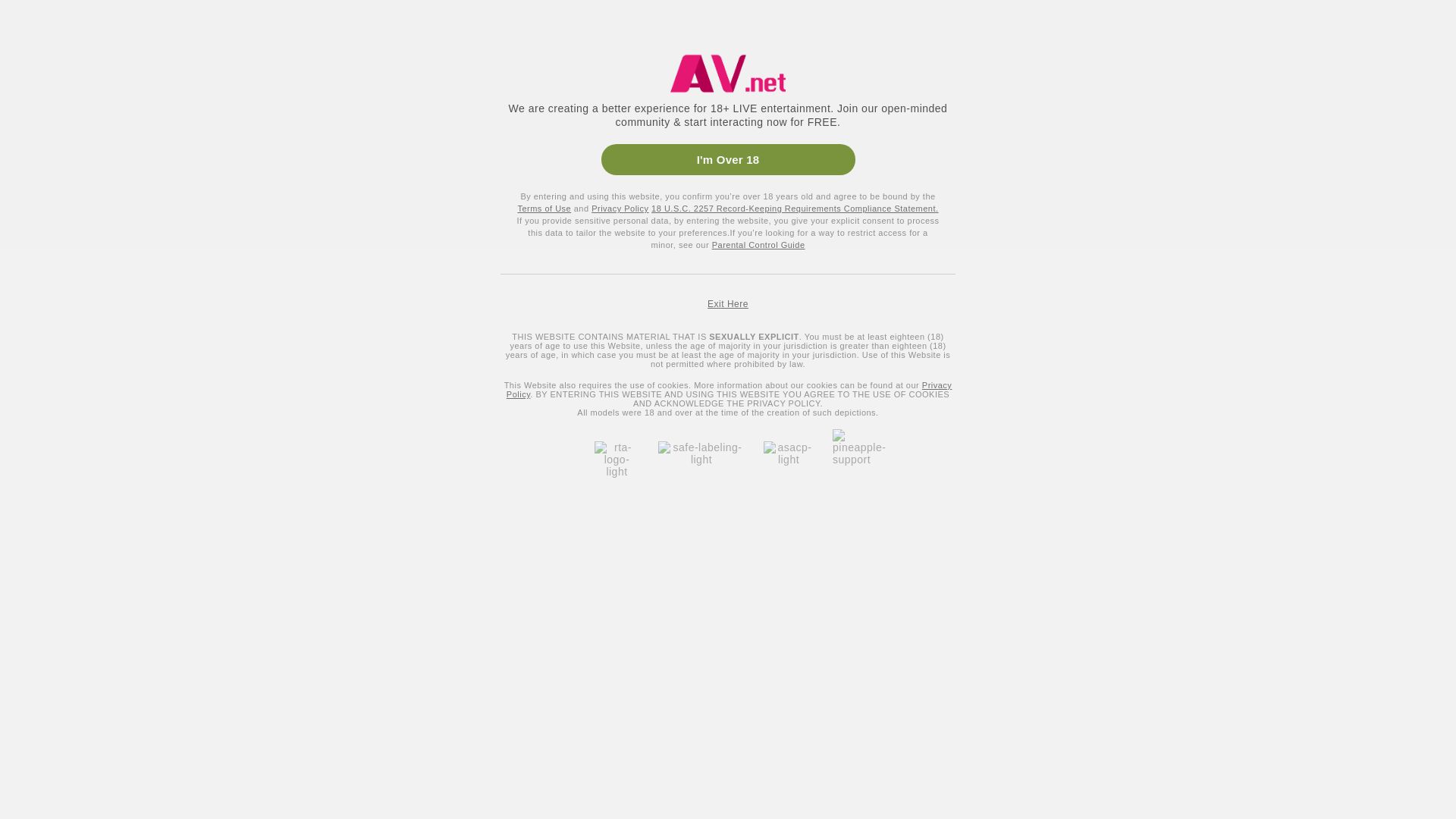 网站状态 av.net 是  在线的