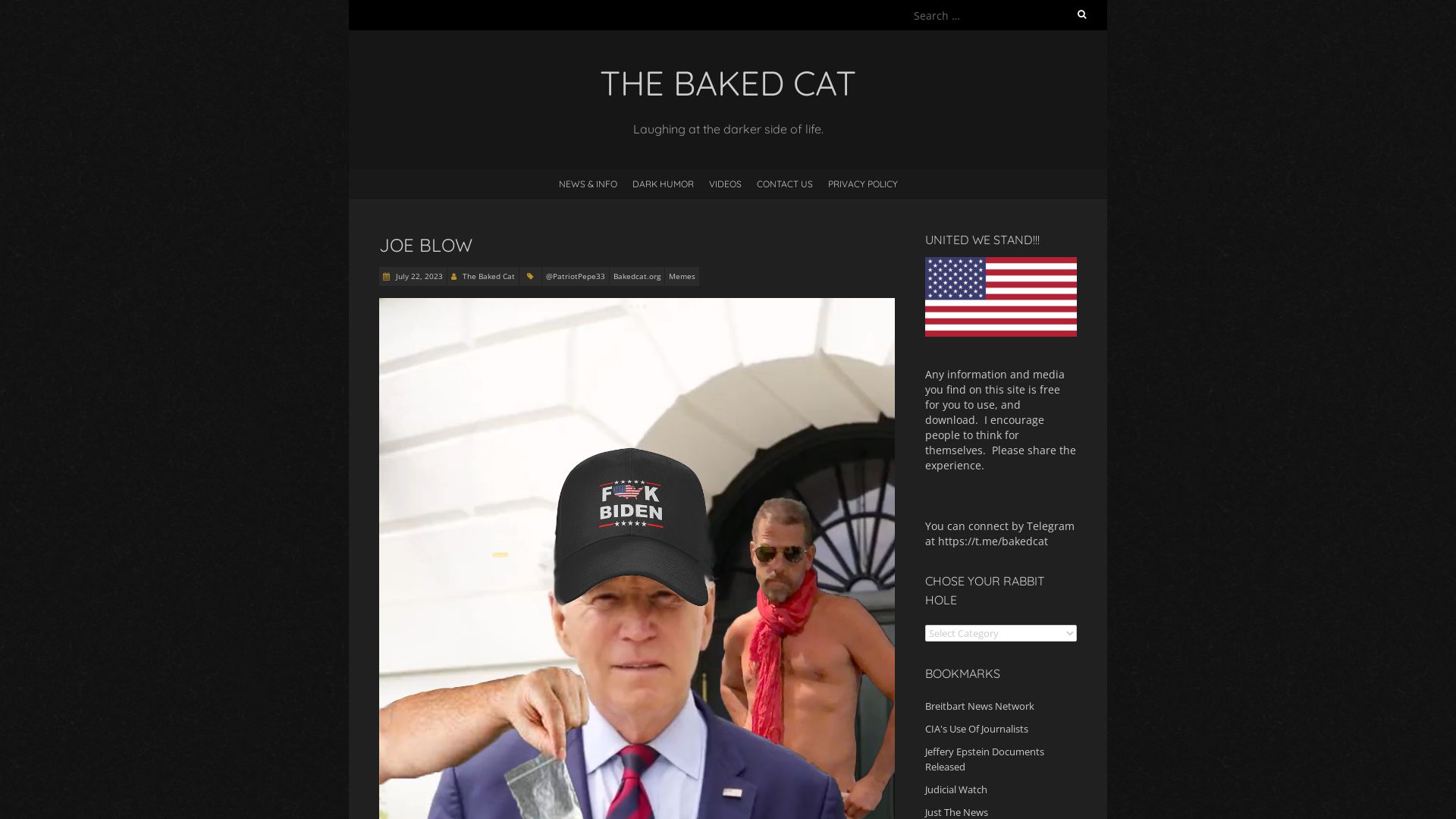 网站状态 bakedcat.org 是  在线的