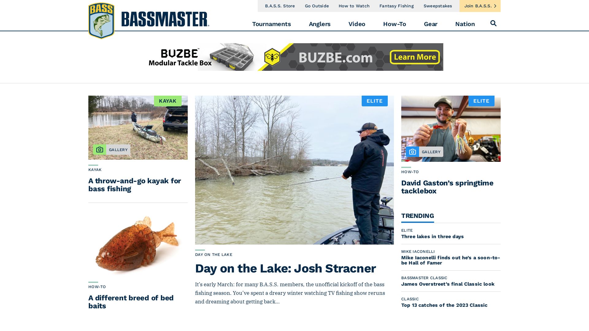 网站状态 bassmaster.com 是  在线的