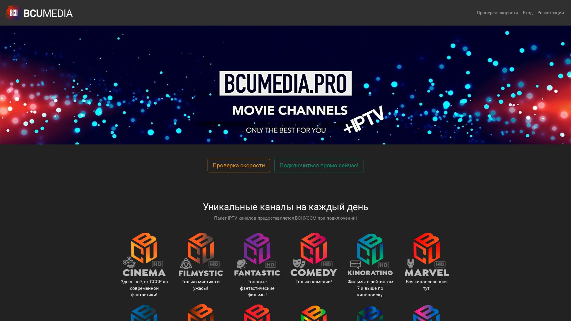 网站状态 bcumedia.pro 是  在线的