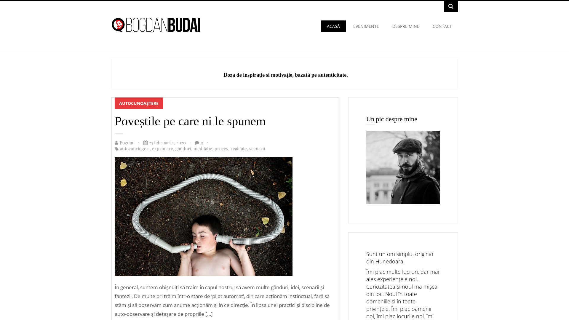 网站状态 bogdanbudai.ro 是  在线的