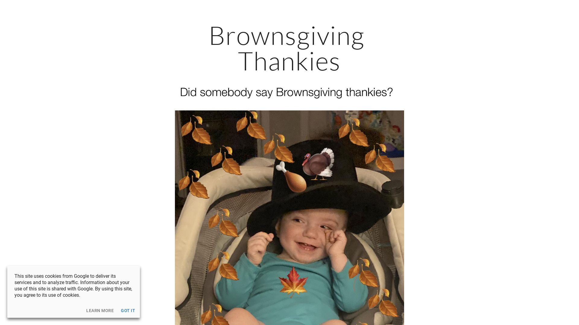 网站状态 brownsgivingthankies.com 是  在线的