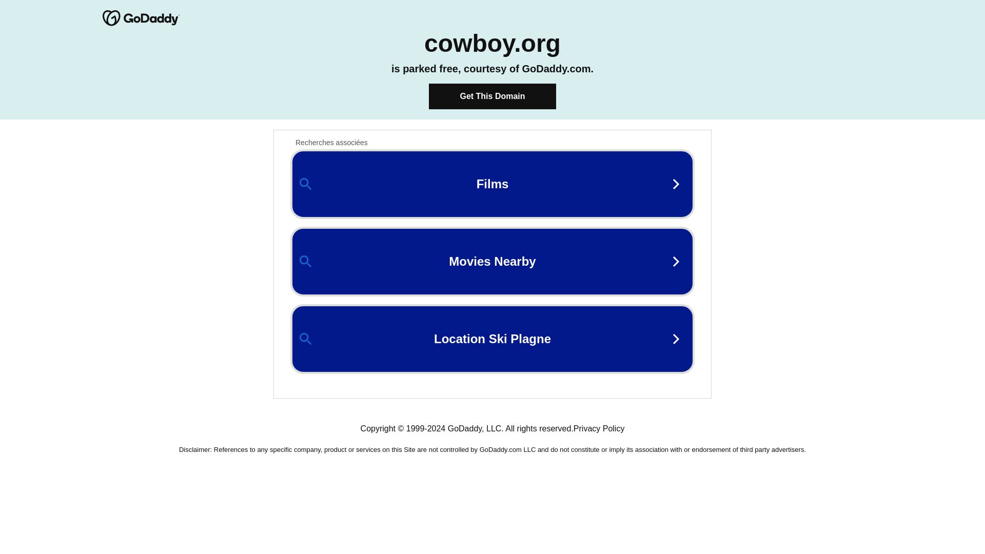 网站状态 cowboy.org 是  在线的