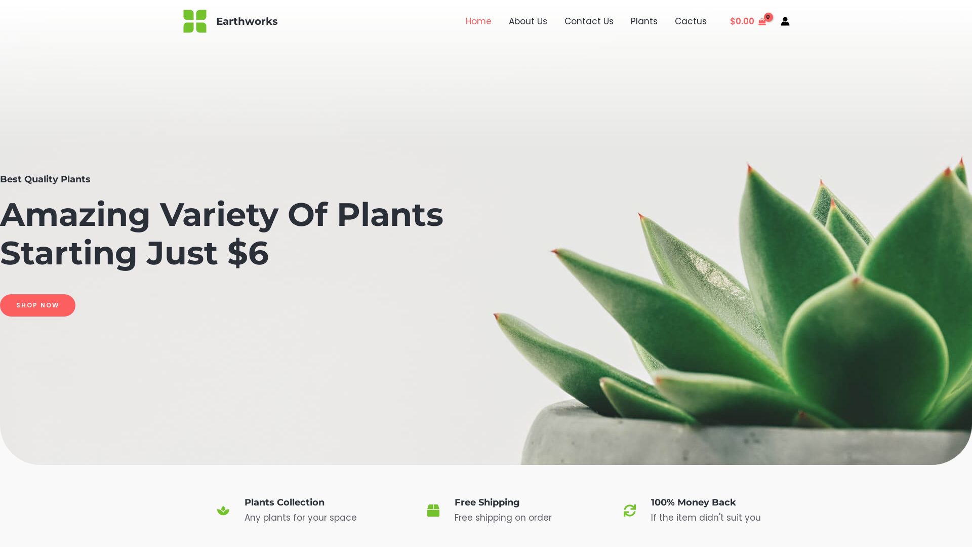 网站状态 earthworks.com 是  在线的