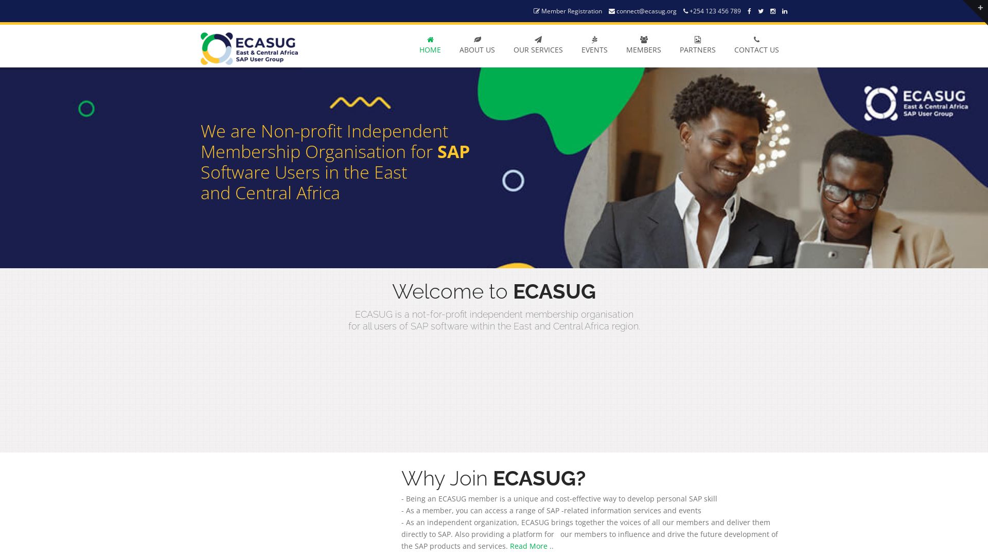 网站状态 ecasug.org 是  在线的