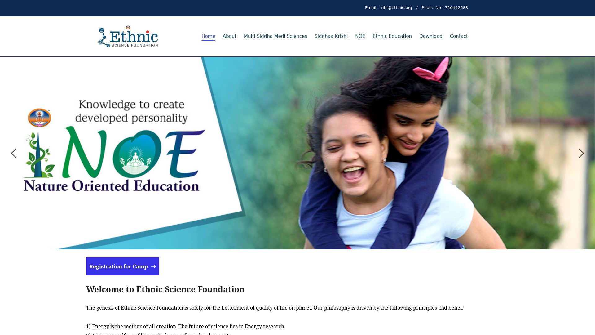 网站状态 ethnic.org 是  在线的