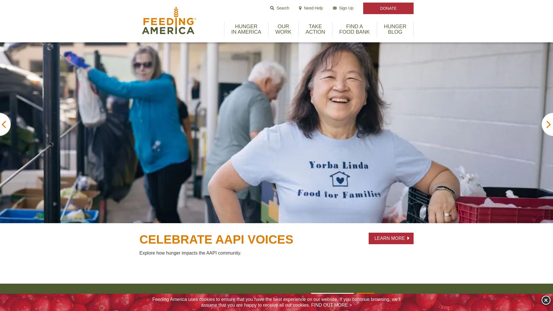 网站状态 feedingamerica.org 是  在线的