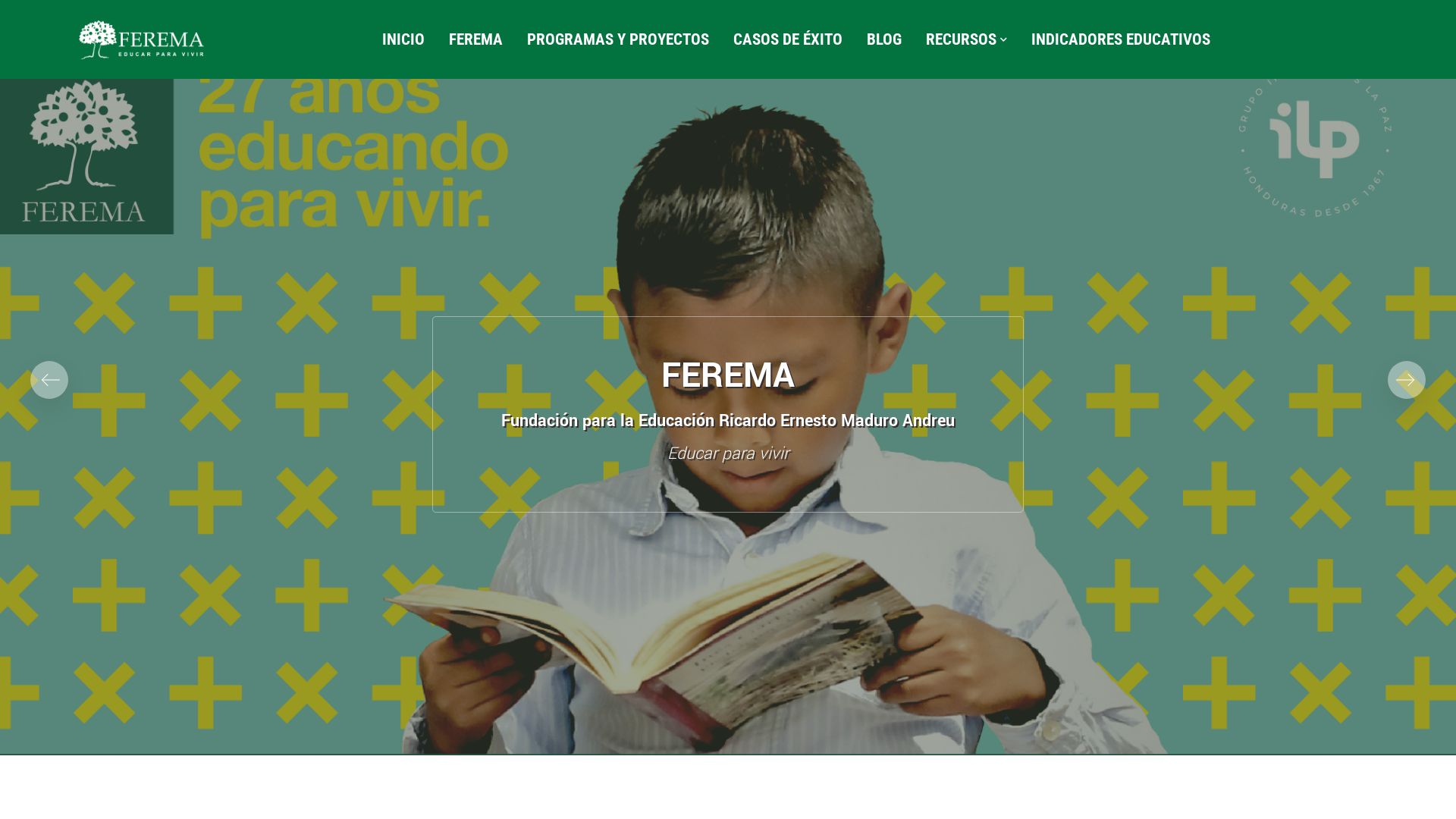 网站状态 ferema.org 是  在线的