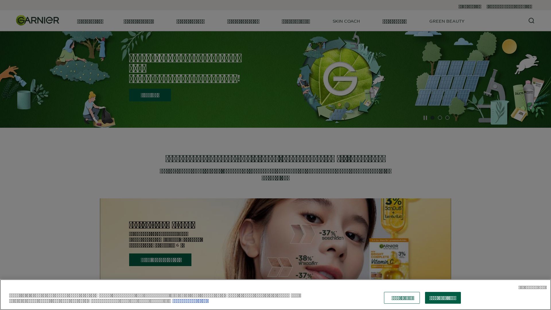 网站状态 garnier.co.th 是  在线的