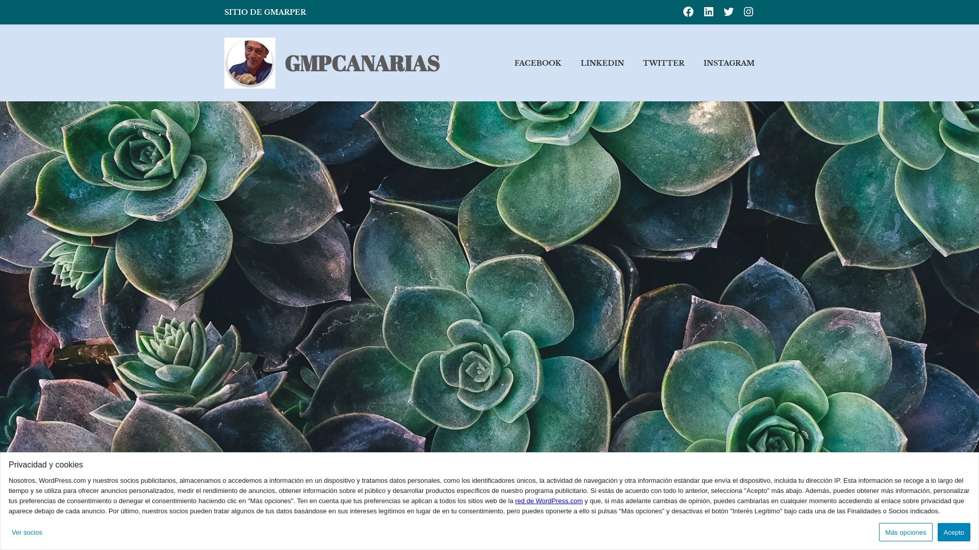 网站状态 gmpcanarias.wordpress.com 是  在线的