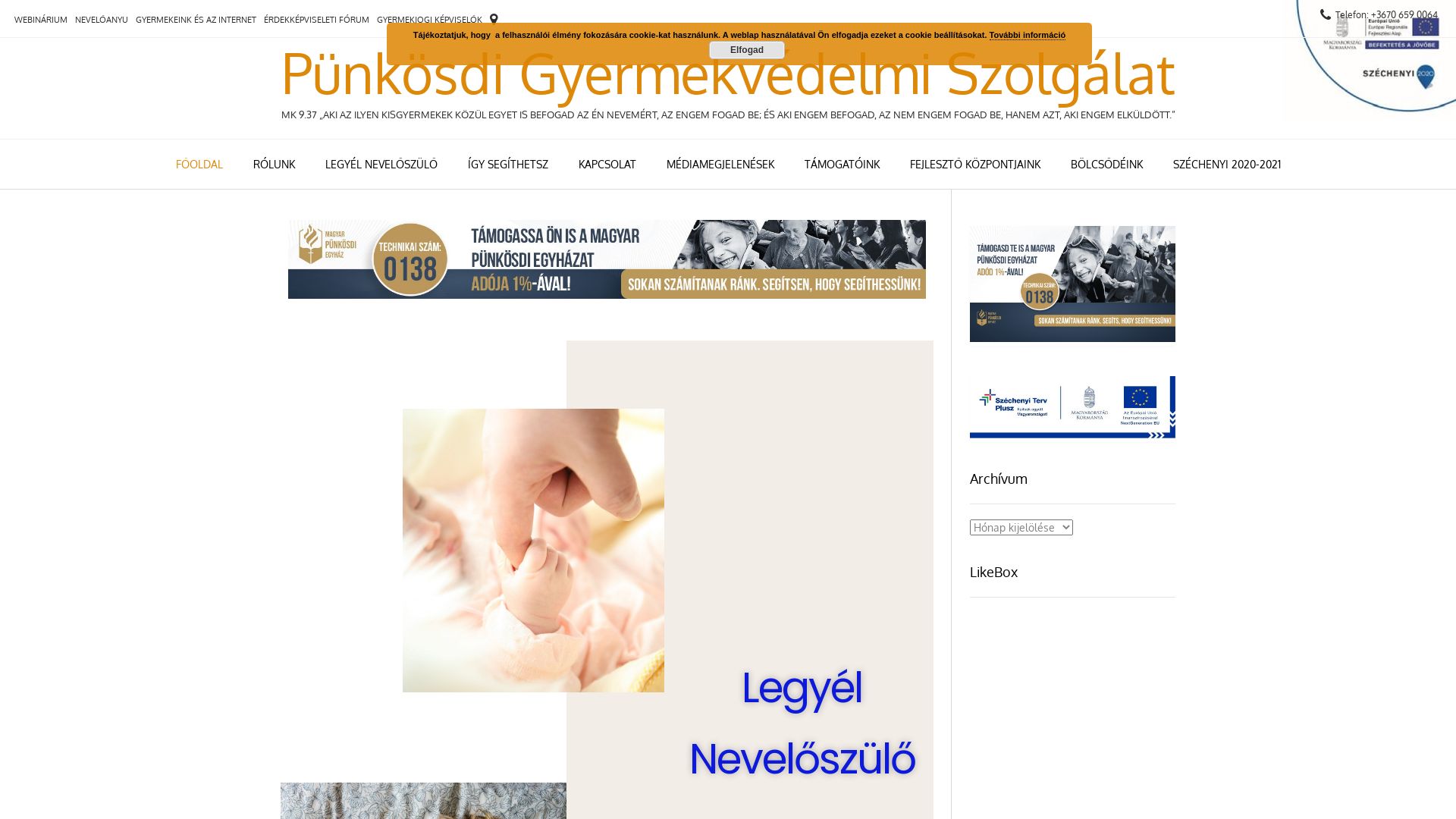 网站状态 gyermekvedok.hu 是  在线的