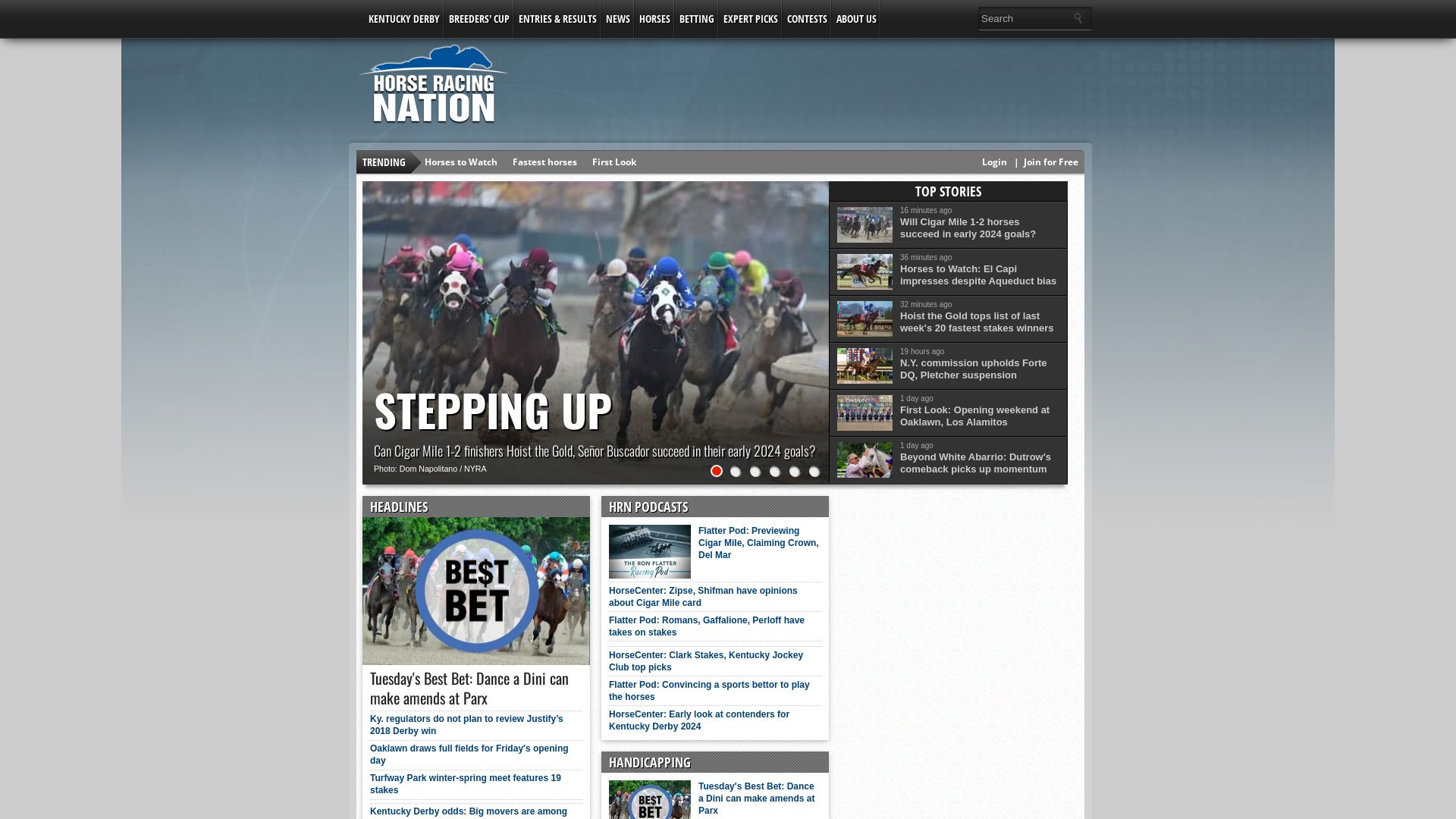 网站状态 horseracingnation.com 是  在线的