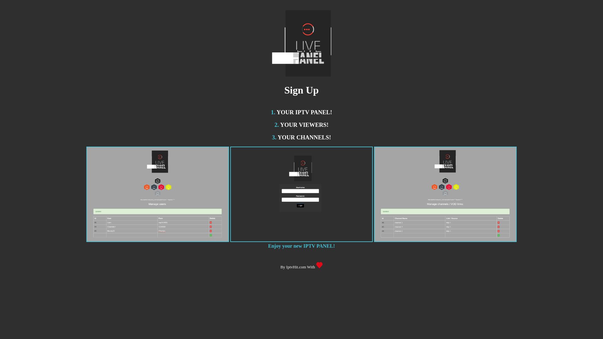 网站状态 iptvhit.live 是  在线的