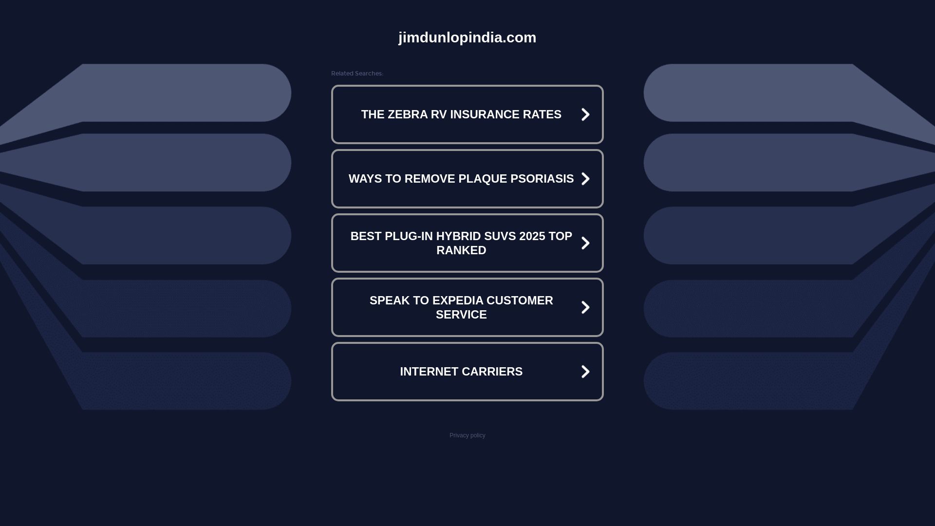 网站状态 jimdunlopindia.com 是  在线的