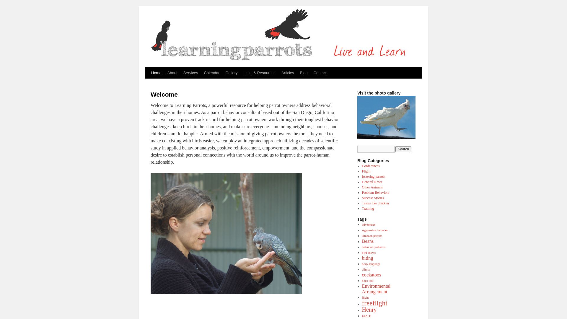 网站状态 learningparrots.com 是  在线的