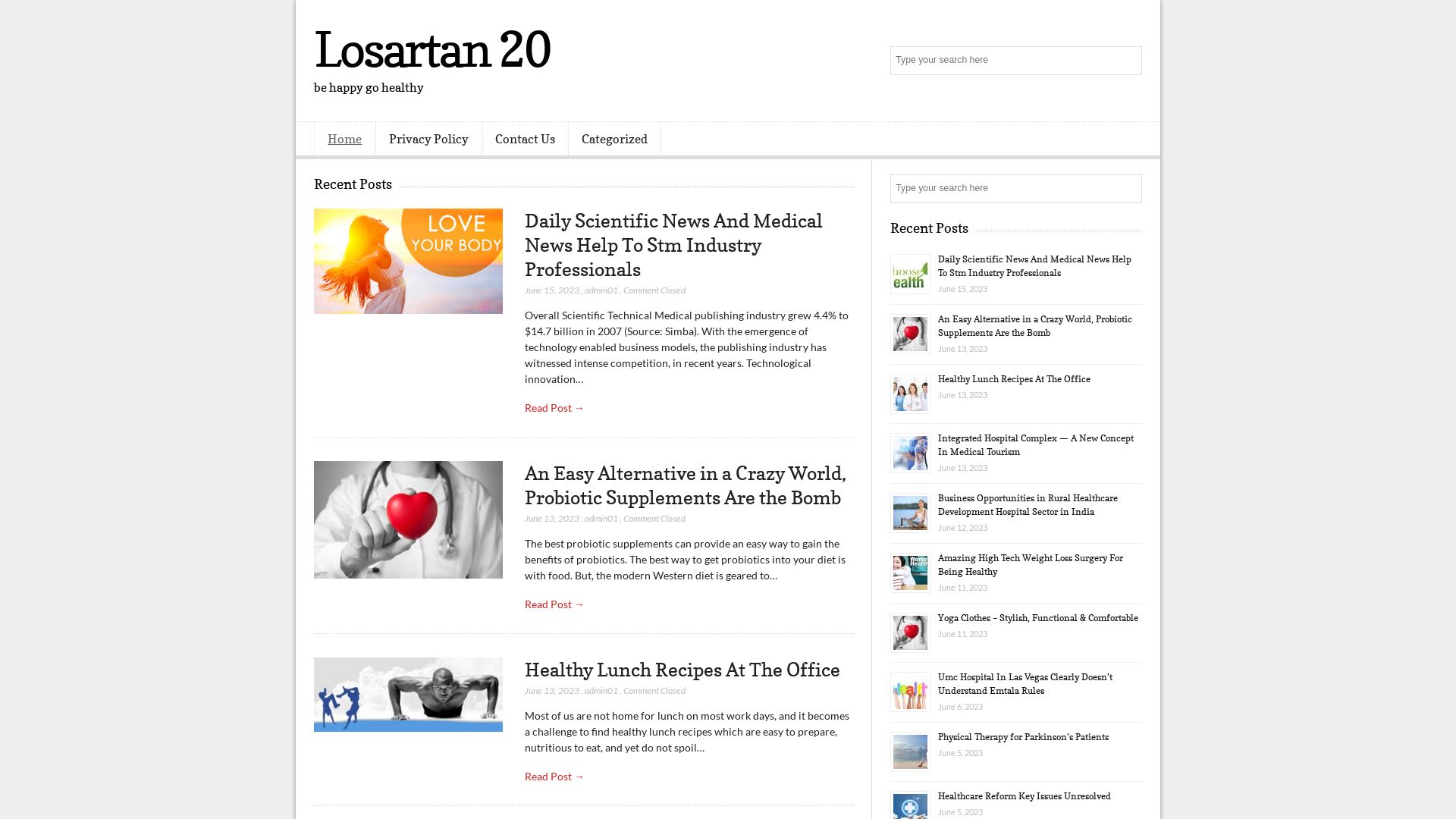 网站状态 losartan20.us 是  在线的