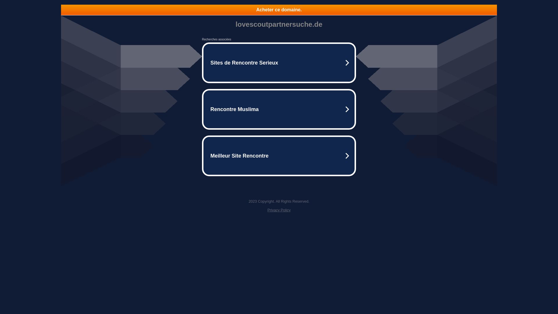 网站状态 lovescoutpartnersuche.de 是  在线的