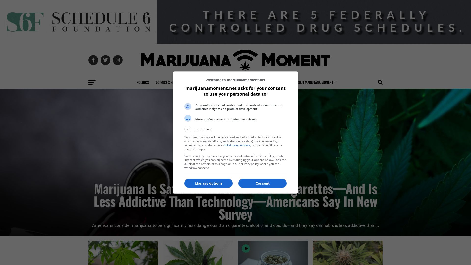 网站状态 marijuanamoment.net 是  在线的