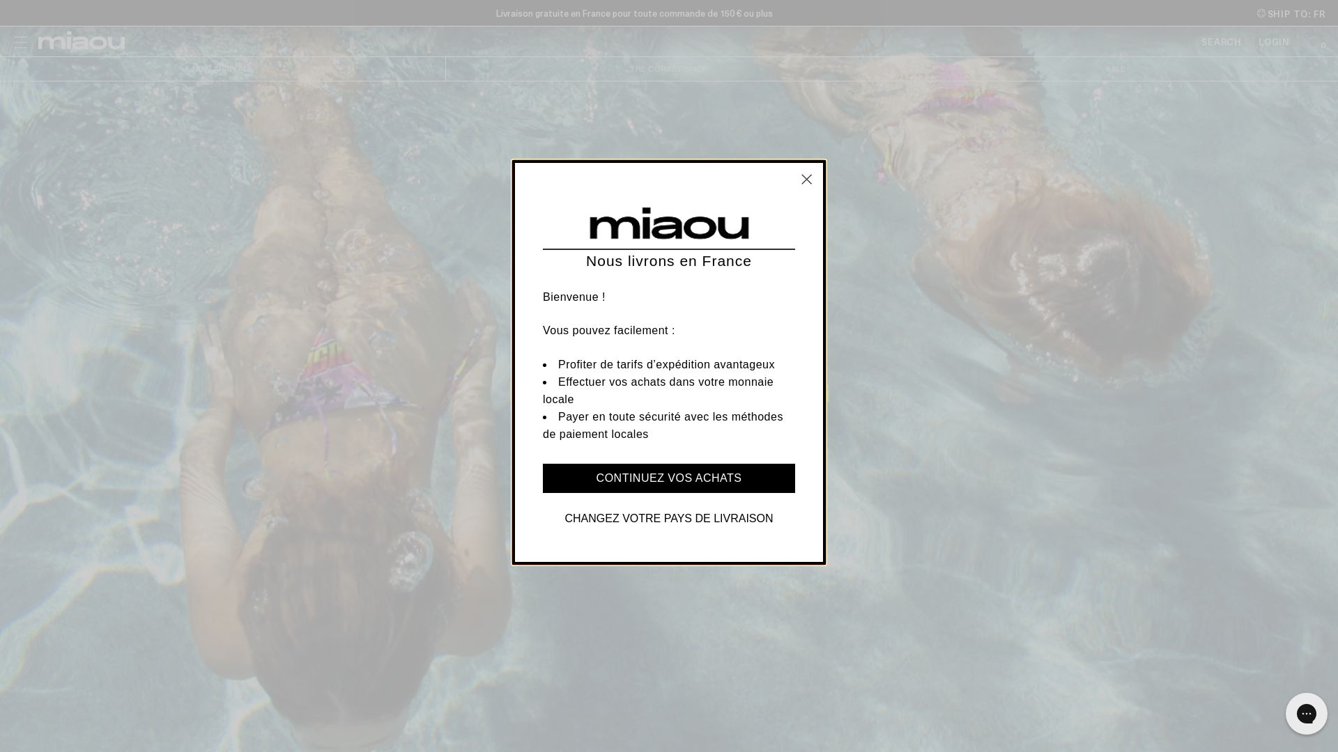 网站状态 miaou.com 是  在线的