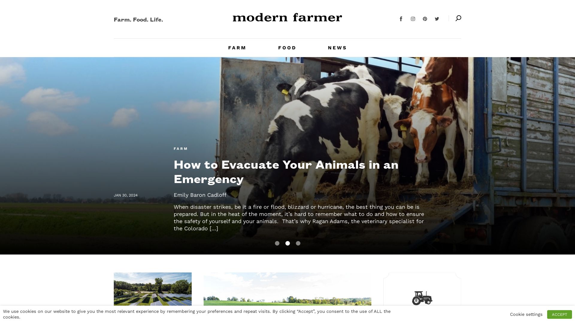 网站状态 modernfarmer.com 是  在线的