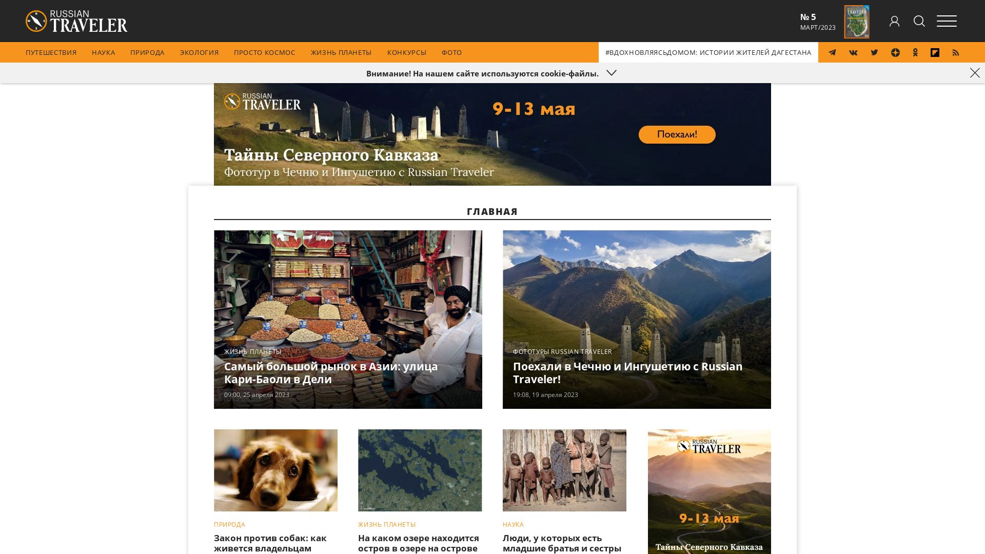 网站状态 nat-geo.ru 是  在线的