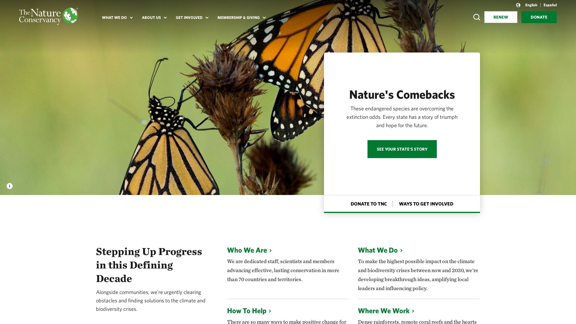 网站状态 nature.org 是  在线的