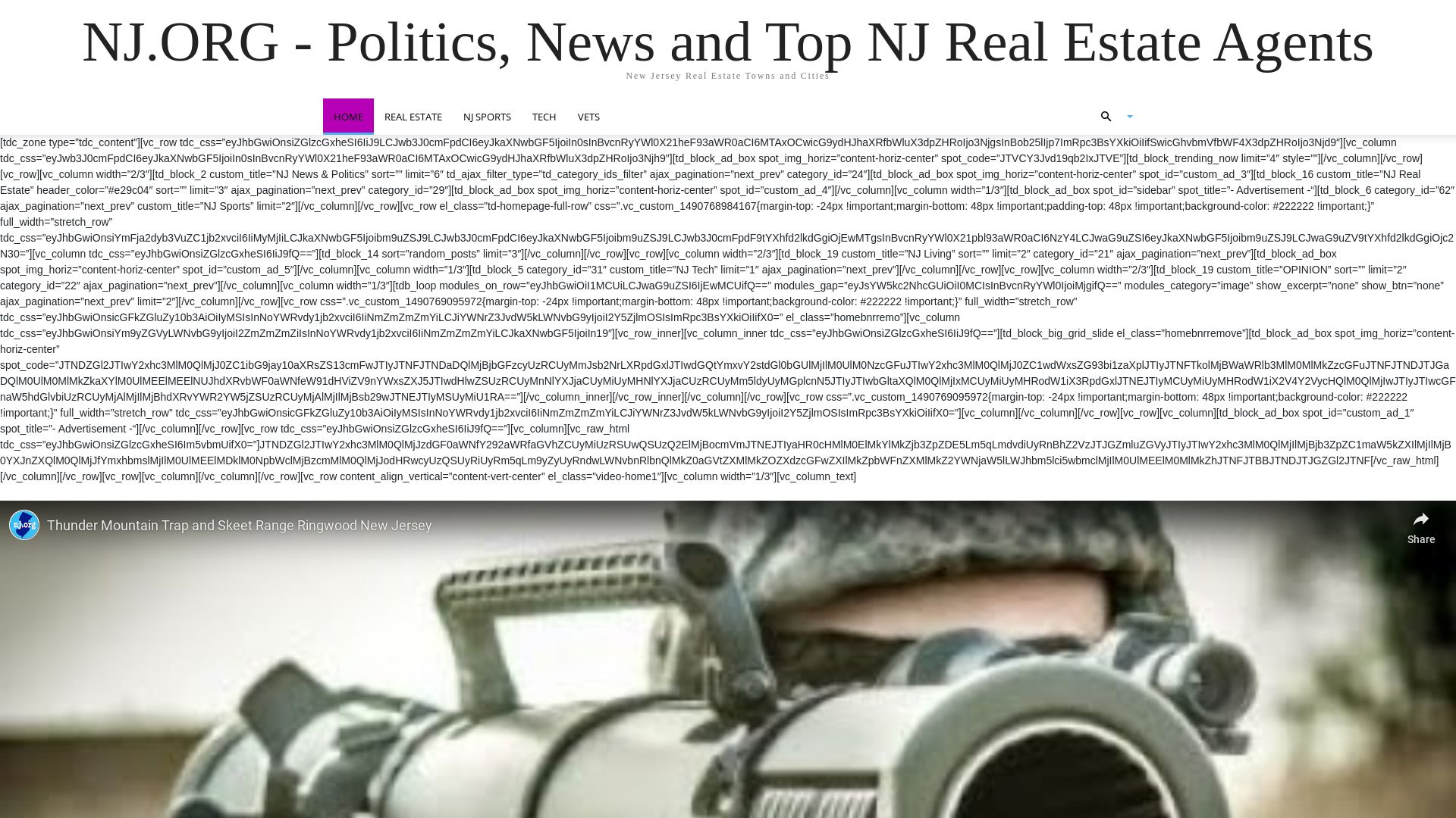 网站状态 nj.org 是  在线的