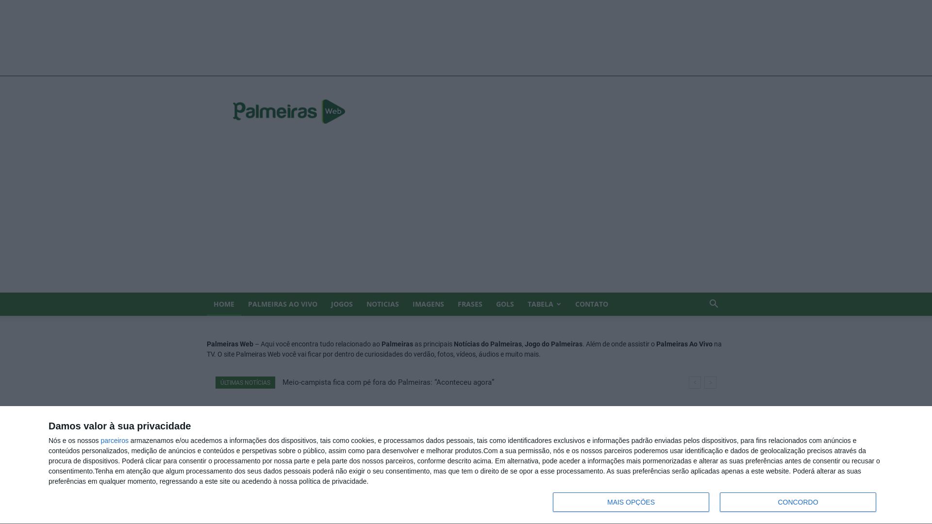 网站状态 palmeirasweb.com 是  在线的
