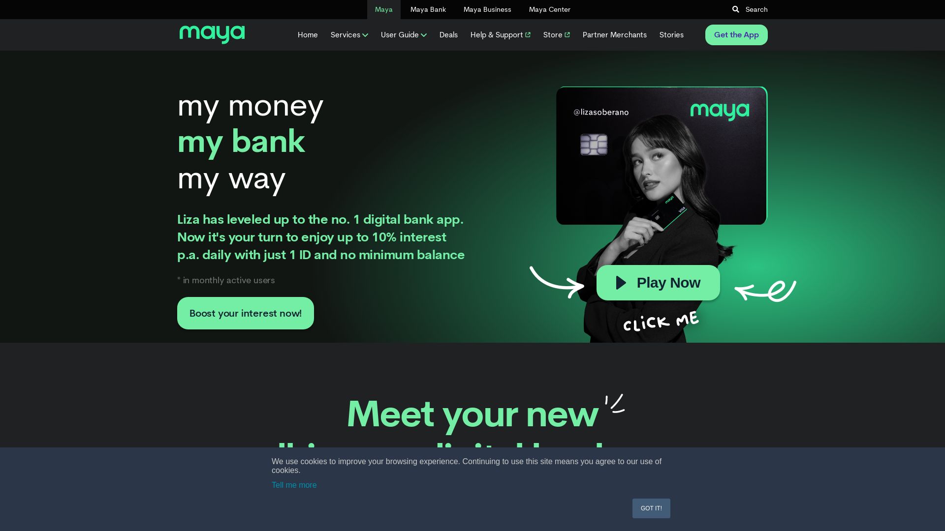 网站状态 paymaya.com 是  在线的