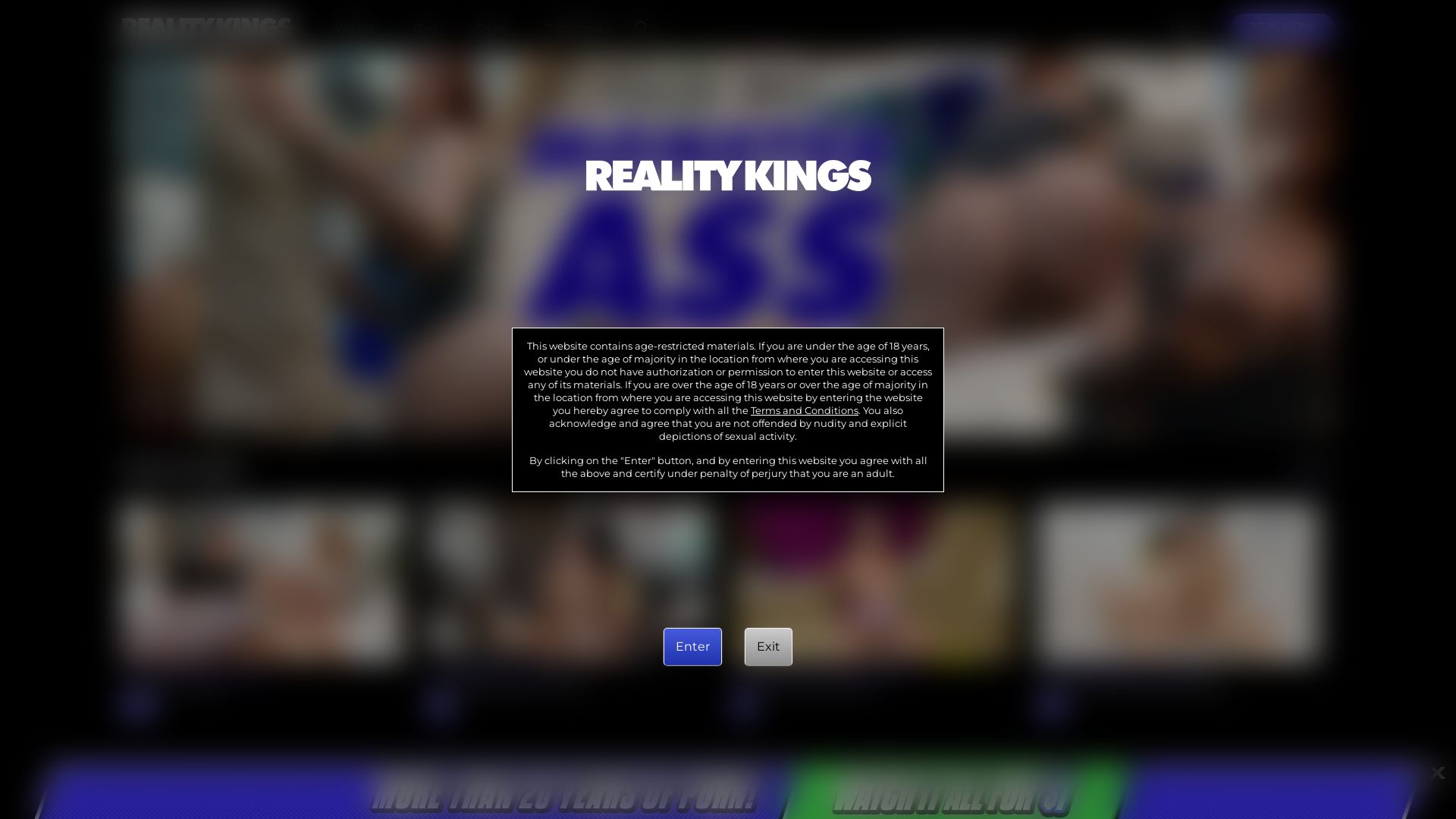 网站状态 realitykings.com 是  在线的
