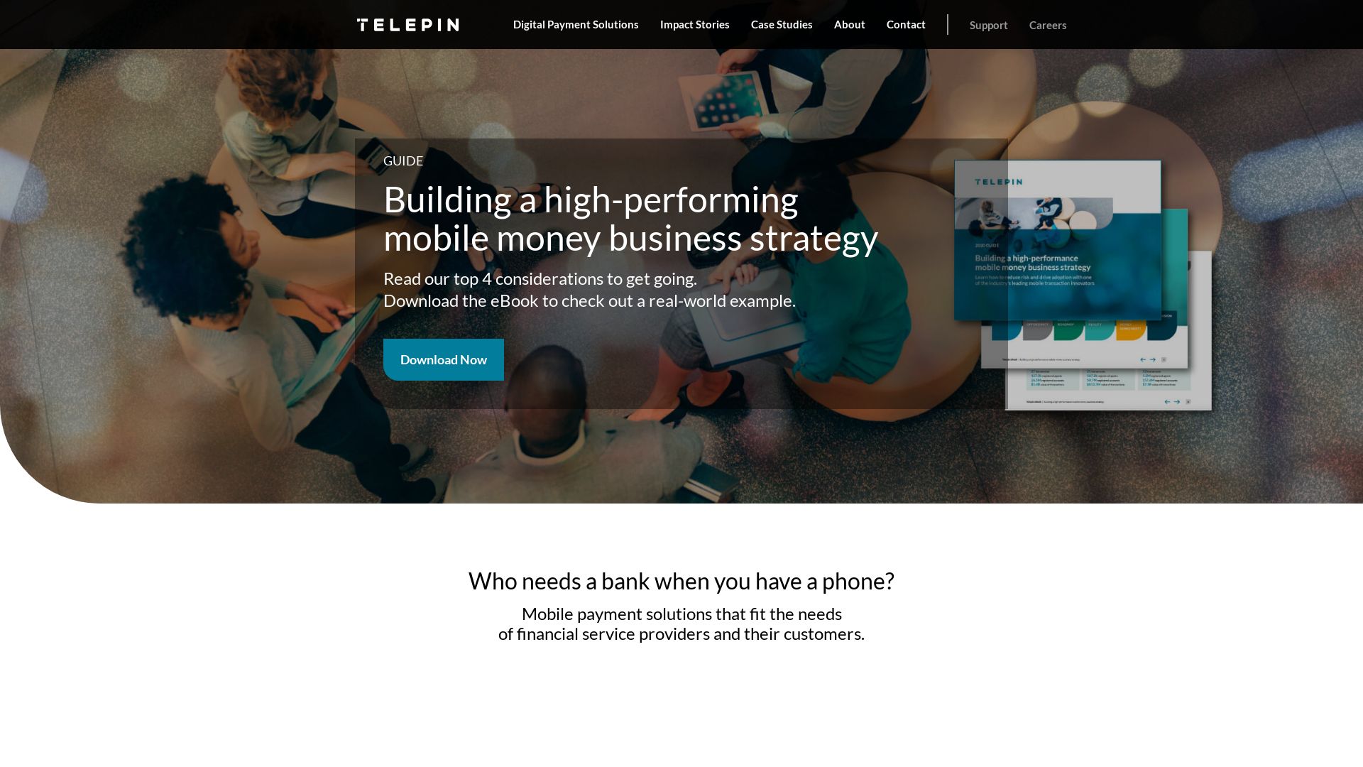 网站状态 telepin.com 是  在线的