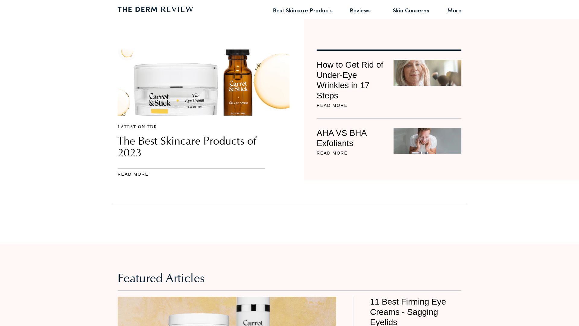 网站状态 thedermreview.com 是  在线的
