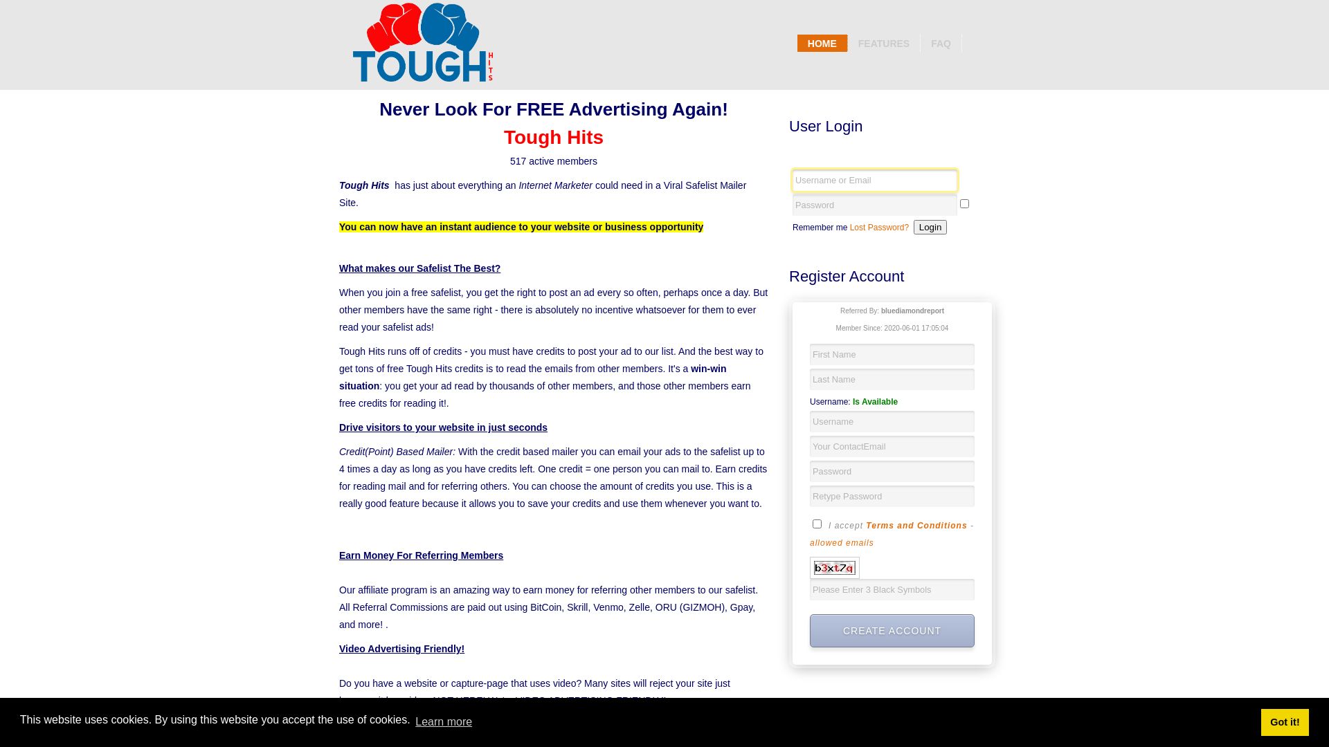 网站状态 toughhits.com 是  在线的