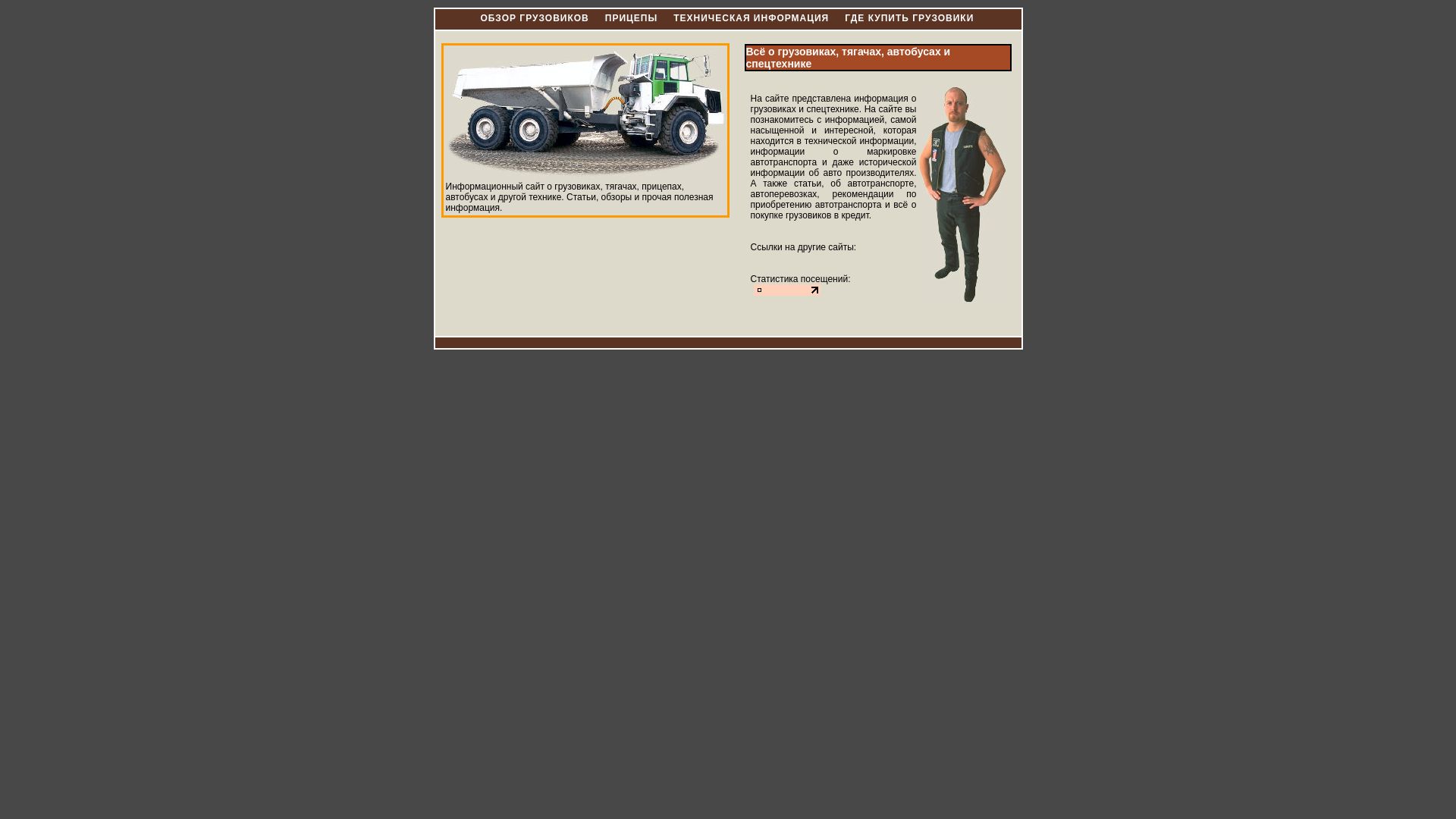 网站状态 truckz.ru 是  在线的