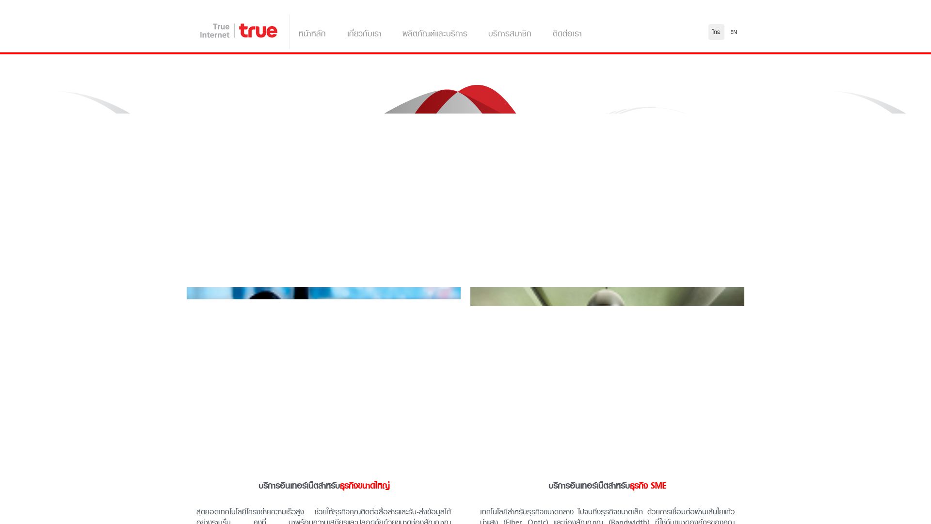网站状态 trueinternet.co.th 是  在线的