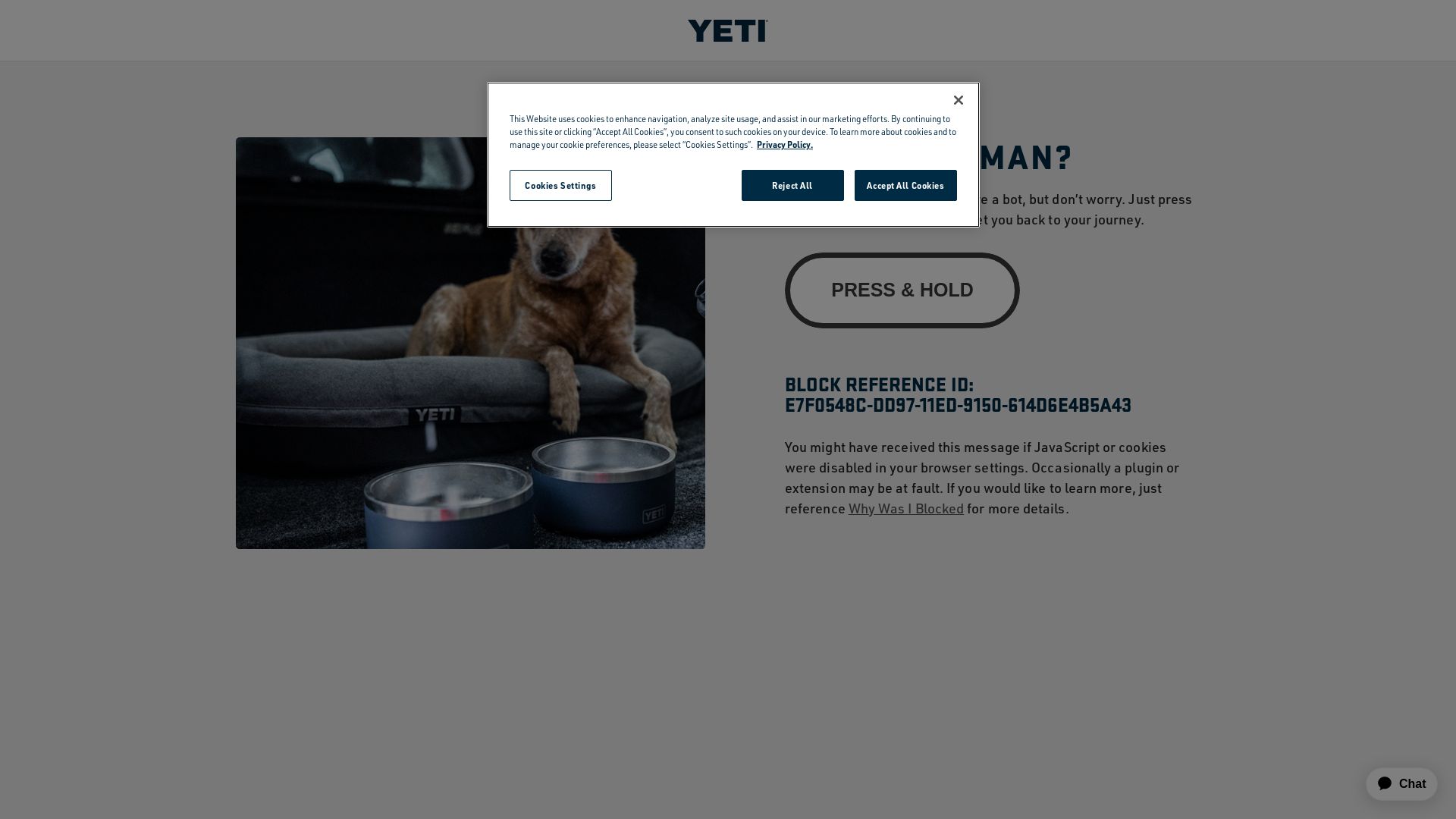 网站状态 yeti.com 是  在线的