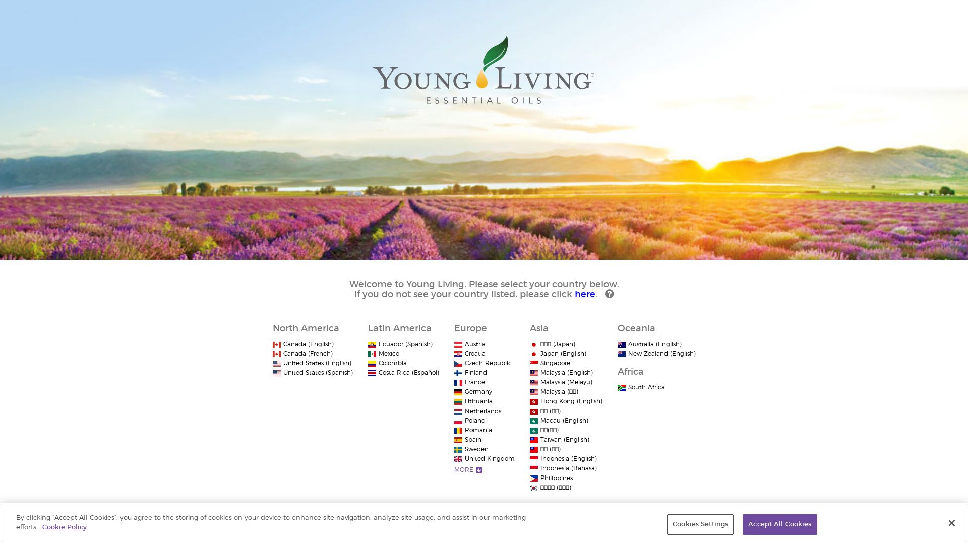 网站状态 youngliving.com 是  在线的